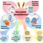 湖南农业大学邓垚成、黄颖合作CCR综述：探索非金属光热催化剂的原理和应用——从金属与非金属光热催化剂机理差异的角度出发