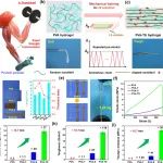 安农大王勤华、汪钟凯团队/UNB大学倪永浩院士 Nano Lett.：基于“运动+营养”策略的加速增强水凝胶策略