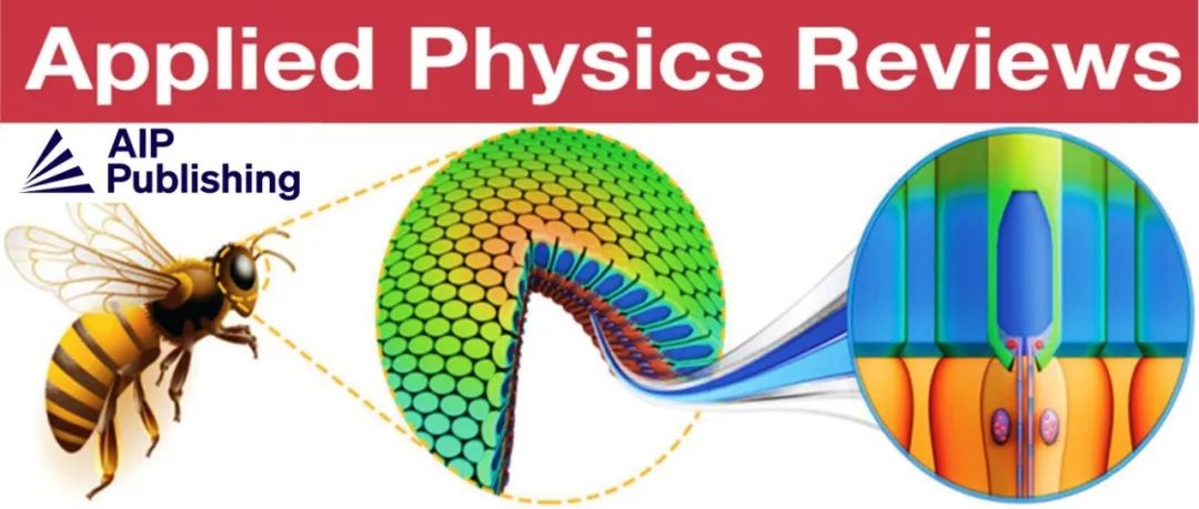 Appl. Phys. Rev. 蜜蜂偏振视觉启发的二维器件