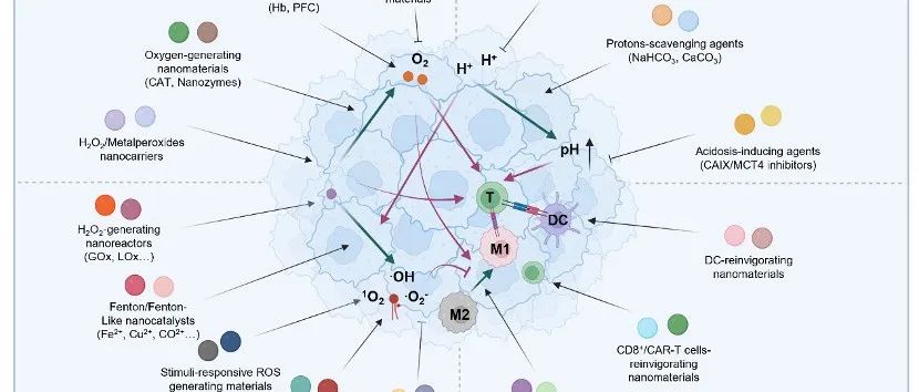 Cell Rep. Phys. Sci. | 纳米材料介导的肿瘤微环境调控与肿瘤治疗增效