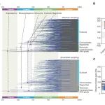 南京师范大学钟伯坚团队在Nature子刊发文在被子植物起源演化时间研究中取得重要进展