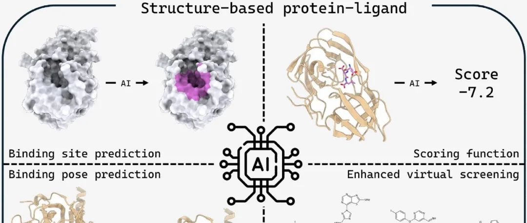 Curr Opin Struc Biol｜AI驱动的蛋白质-配体相互作用预测进展