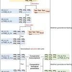 青岛农业大学青年教师在一区Top期刊发表研究成果！