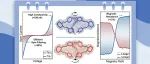 闫强课题组JACS: 在手性FLP有机分子笼中发现高自旋选择性输运行为