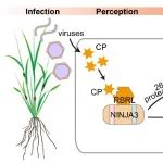 北京大学李毅等团队合作最新Nature