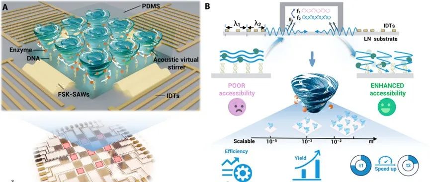 课题组工作｜Sci. Adv.｜可扩展声流控单元用于增强酶促核酸反应