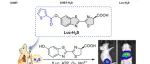 Biosensors and Bioelectronics｜高选择性生物发光探针用于肝损伤小鼠硫化氢成像监测和肝脏保护剂疗效评估