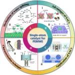 单原子催化剂在质子交换膜水电解技术中的应用