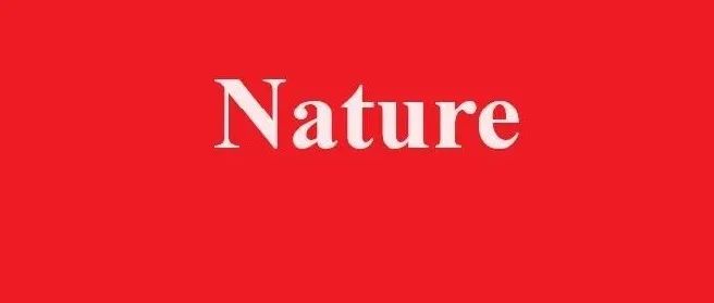 90后领衔！国防科大突破材料性能禁区，登顶《Nature》