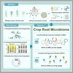 北京大学白洋团队最新Cell！