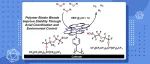 J. Am. Chem. Soc.：聚合物粘合剂混合物通过配位和环境控制稳定异质化分子酚基钴电催化剂的碱性析氢反应