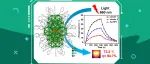 四川大学万贤楷课题组Angew：基于棒状合金纳米团簇的光热转化及应用研究物理化学