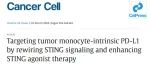 复旦大学Cancer Cell：STING信号通路：如何精准调控以攻克肿瘤耐药？