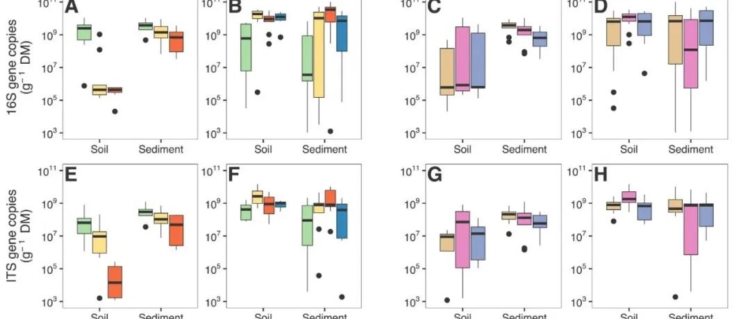 土壤微生物群落丨SOIL BIOL BIOCHEM：早期流域演替10年间土壤和沉积物微生物群落及功能的根本变化