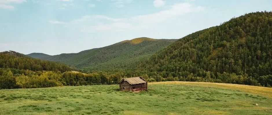 费多益 | 最佳解释推理：价值判断如何满足真追求