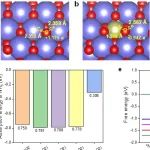 中科院生态环境中心贺泓院士团队Chem Catalysis：揭示金属-载体相互作用在氨选择性氧化中的反向效应