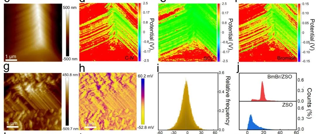 浙大陆俊团队最新JACS：揭示水系锌电池界面阴-阳离子化学奥妙！