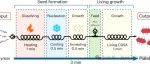 精密纳米结构聚合物制备获突破！实现分钟级制造 | Nature Synthesis