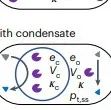 生物分子凝聚体，最新Nature Chemical Engineering！