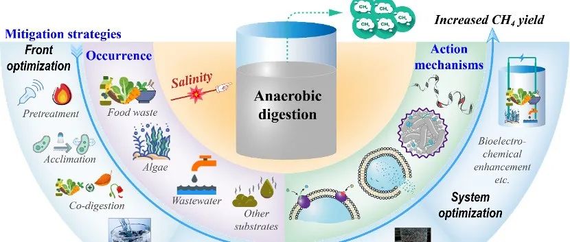 文献速递｜哈工大赵庆良、李莉莉Renew. Sustain. Energy. Rev.:厌氧消化中盐度的影响、作用机制和缓解策略