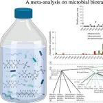 亚利桑那州立大学Justin P. Skinner等ES&T综述：“永久性化学物质”的生物转化——PFAS微生物研究的趋势与见解