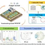 E&H专栏｜复旦大学环境系李丹等：半地下城市污水处理厂空气传播真菌的特征及健康风险评价