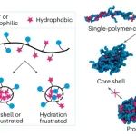 研究前沿：单链纳米粒子-水合阻挫，随机异源聚合物 | Nature Chemistry