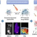 JACS：新型光学诊疗制剂，实现多模态成像引导的三阴性乳腺癌免疫治疗