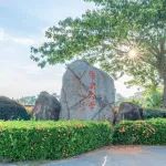 海南大学罗杰团队再取研究进展