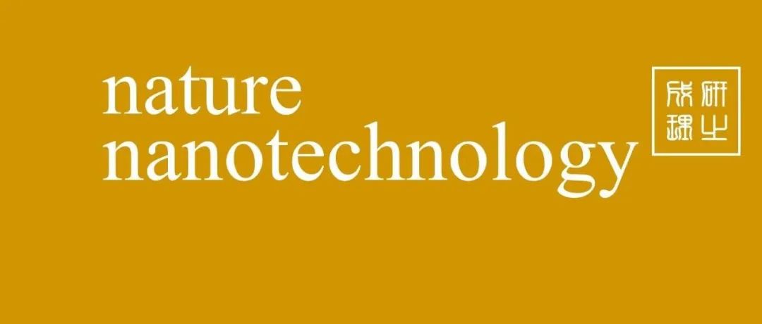 厦门大学，Nature Nanotechnology！