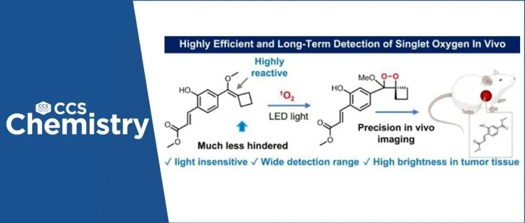 【CCS Chem.】亚甲基环丁烷余辉探针：开启单线态氧高灵敏精准生物成像新途径