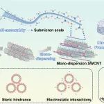 四川大学王延青 Nano Energy：具有高效微波吸收与多功能性的蜘蛛网结构气凝胶