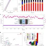 厦门大学黄小青团队研究成果再登《Nature Nanotechnology》