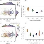 Ecological Monographs | 稳定同位素揭示腐木甲虫不同营养群之间的差异较小，且高度依赖真菌