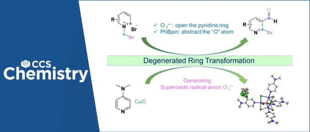 【CCS Chem.】四川大学付海燕/陈华团队开发新型吡啶骨架编辑方法，实现吡啶的高效双官能化