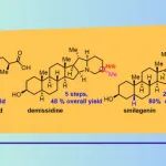 【Angew】 上海交通大学吴晶晶团队：光催化立体化学编辑策略实现多个甾体天然产物的高效合成