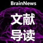 我国科学家揭示人类大脑皮层复杂布局