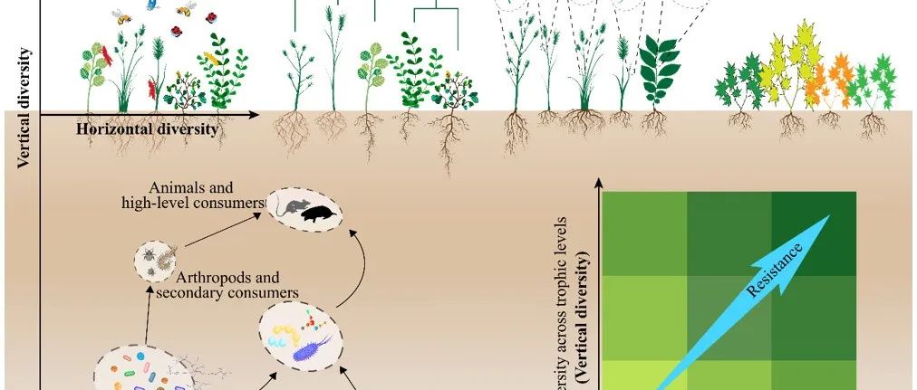 提出新假说！东北地理所《Trends in Ecology & Evolution》最新研究成果！