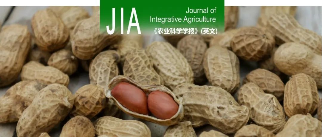 JIA｜中国农科院农产品加工所王强研究员课题组基于多尺度结构角度对全球花生工程特性与微观结构的表征与关联分析