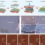 中国科学院物理研究所《nature》：范德华挤压技术实现二维金属的普适制备