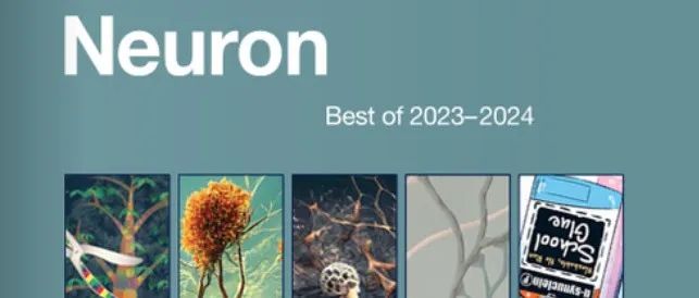 重磅：Neuron 2023-2024年度最佳论文集上线！