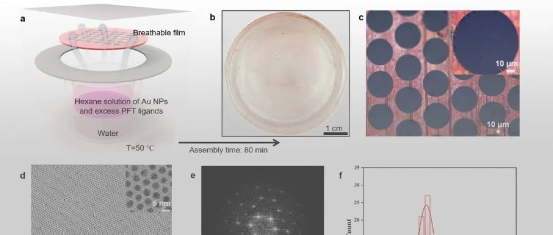 杭师大黄又举教授团队 JACS：超低表面能界面微环境构筑大面积超晶格单层膜