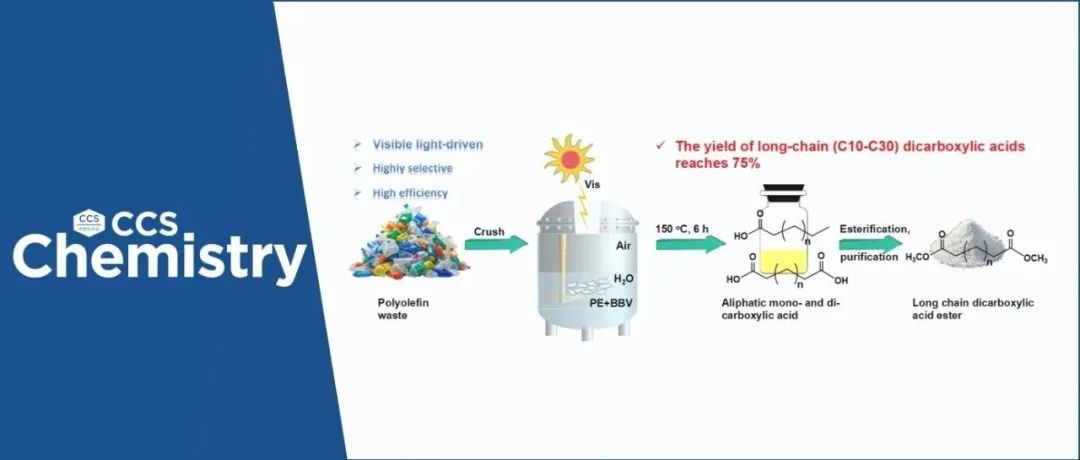 【CCS Chem.】浙江大学李正龙团队：聚乙烯废塑料光催化氧化解聚为脂肪族长链二元羧酸