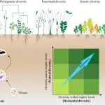 Trends in Ecology & Evolution 新视角！ 东北地理所提出二维本地生物多样性阻抗植物入侵概念框架