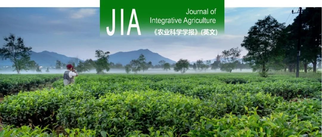 JIA｜河南农业大学生命科学学院蒋海芳博士在植物热胁迫下对其生长及抗逆性的精细调控方面开展研究