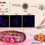 ACS Nano：线粒体靶向多功能铂基纳米“末敏弹”用于增强癌症化疗