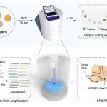 厦大任磊团队Biosens. Bioelectron.：智能CRISPR检测装置用于病原体高灵敏、高通量、自动化、无污染检测