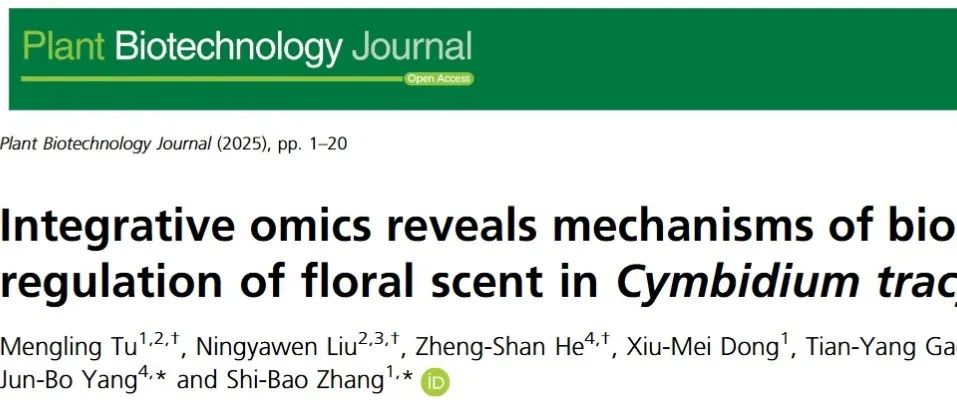 文献分享 | 整合组学揭示西藏虎头兰花香的生物合成与调控机制