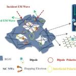 西安建大《JMCC》：轻质层状多孔SiC纳米线/RGO复合材料，用于民生和生态领域的电磁屏蔽