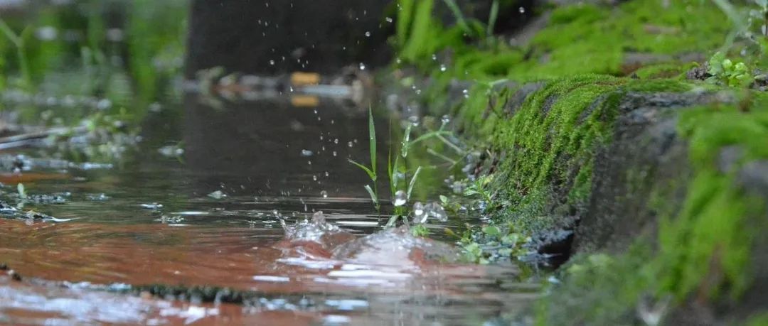 给水排水 |双碳目标下，雨水系统如何“轻装上阵”？